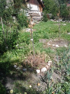Фотографија0612